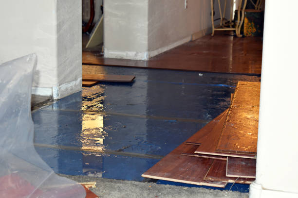 Professional Flood Cleanup technician working in Sealy, TX